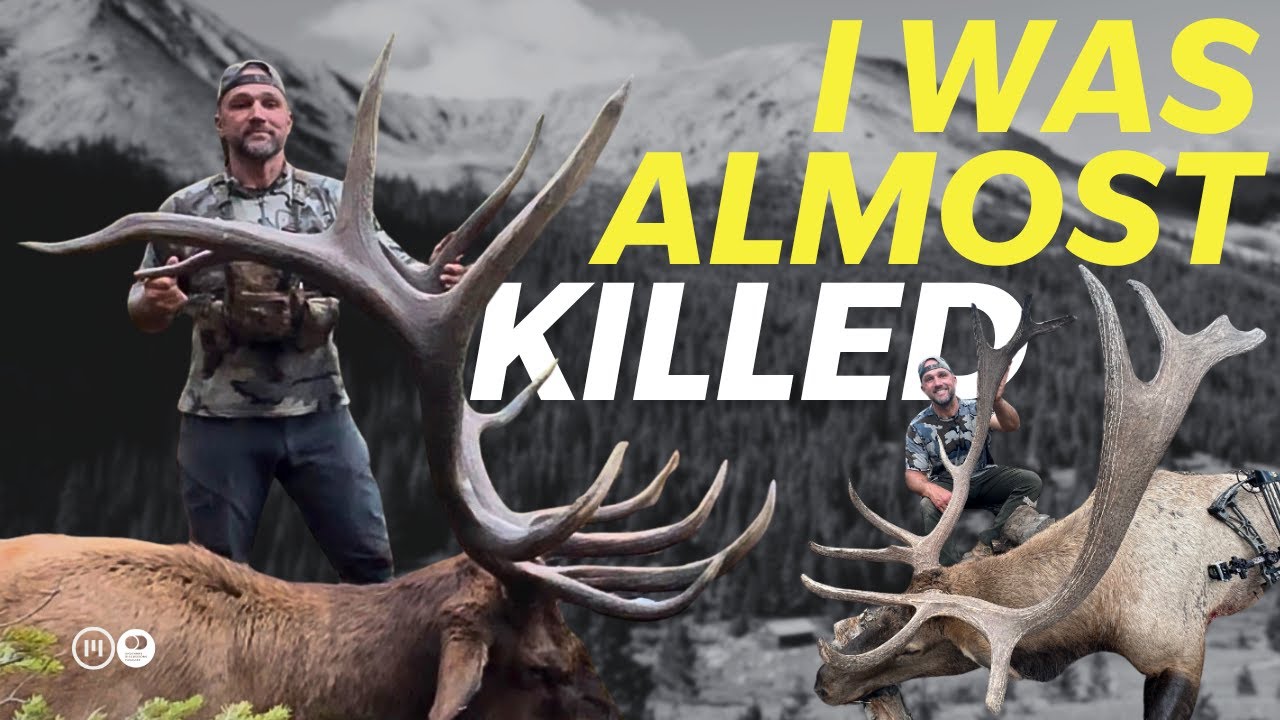 Как Бог говорит с нами и моим гигантским лосем!!!