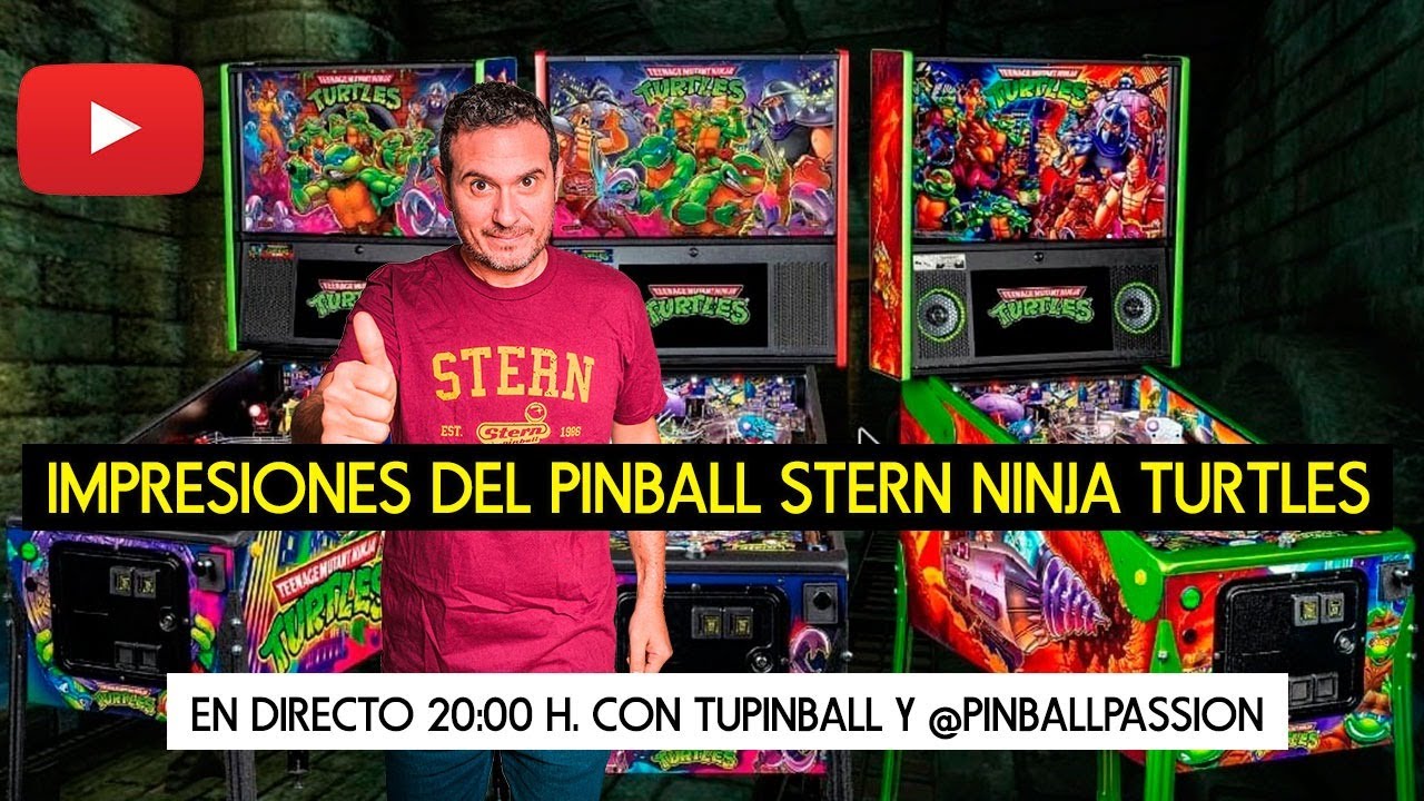 STERN Ninja Turtles 2020 TMNT Cartes Instructions Flipper Custom Pinball V2