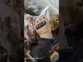 فيديو متداول ي ظهر أحد عناصر الأمن الداخلي في حماة أثناء فتح ظرف مكافأة
