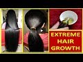 इस तेल से एक हफ्ते में 3-4 इंच बाल लंबे करें|stop hair fall,get long thick hair/ EXTREME HAIR GROWTH