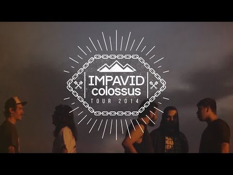 youtube player