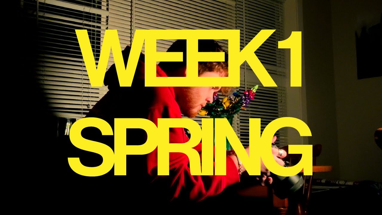WEEK 1 | SPRING TERM | ART