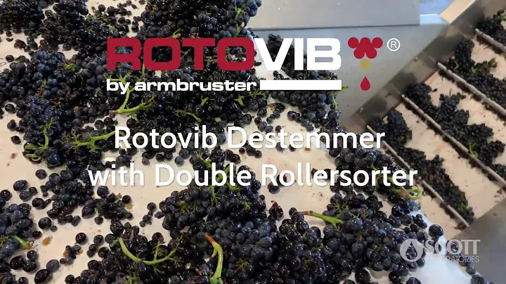 Armbruster Rotovib Destemmer with Double Rollersor...