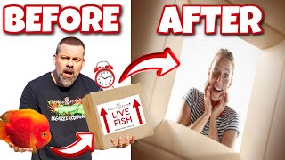 How Do We Pack and Ship Tropical Fish overnight?! How long can they survive in the box?