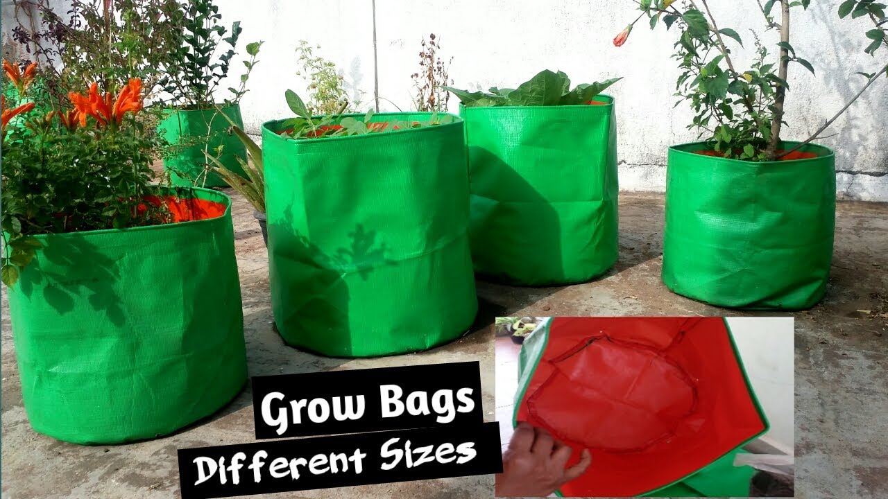 Grow bags for plantsAll about the grow bags for gardenGrow bags