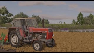 Oprowadzenie Po farmie | Polscy Sąsiedzi
