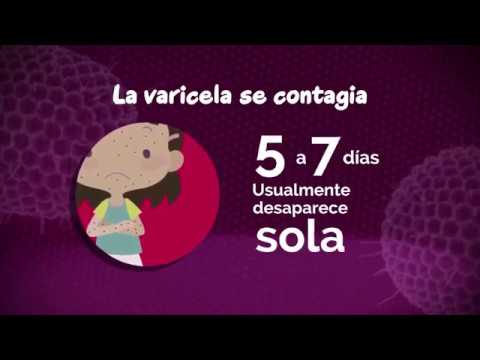 📹VIDEO ¿Qué hacer