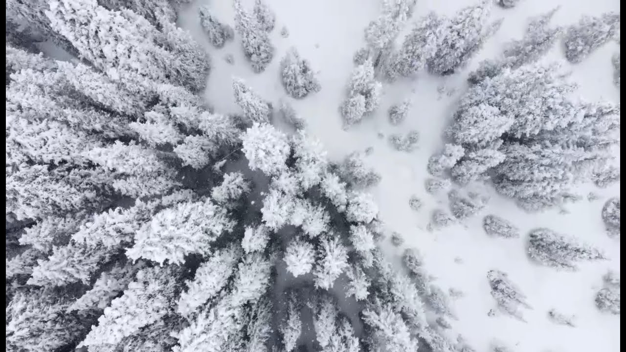 Get Educated Before Heading into the Backcountry