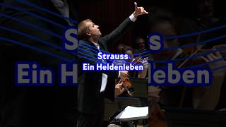 Strauss - Ein Heldenleben