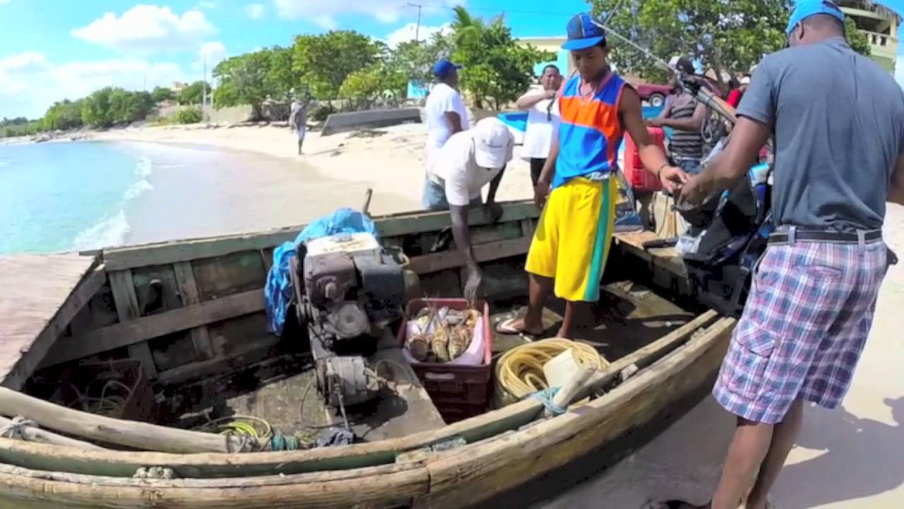 Republica Dominicana - YouTube