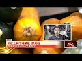 農產品價格波動