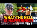 I Can't Believe How TRASHY The UFC Has Become