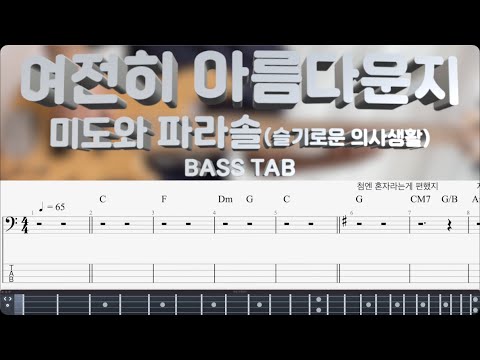 여전히 아름다운지 <슬기로운 의사생활 시즌2> (Bass) - 미도와 파라솔
