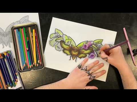 Bat Moth Foxglove Flower Chest Piece Tattoo, 10 Minute Art Process/Tattoo Outline Timelapse
