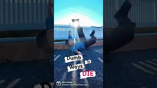 Dumb ways to 💀 #trending #inlineskate
