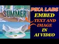Pika Labs: Encrypting Text and Image Features for Enhanced Control in AI Video Creation