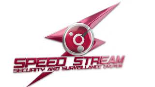 Hivision DVR Remote Viewing Online screenshot 4