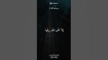 تلاوة تريح القلب 🤍✨ سورة هود الآية 6 #foryou #quran #سورة_هود #محتوى_رائج