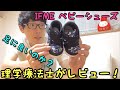 『子ども靴』IFME ベビーシューズ 理学療法士がレビューしてみた！