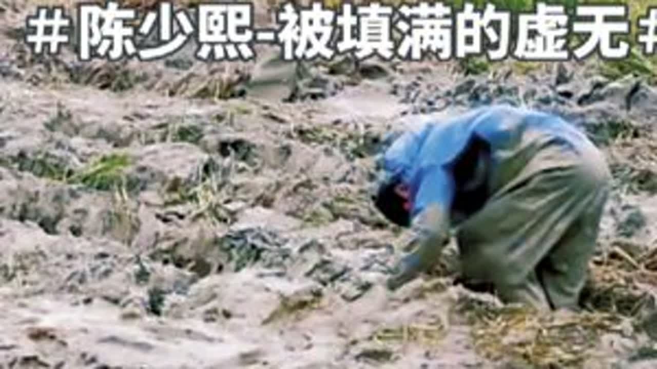 昨晚失眠我又拿起了那本书，然后那些画面就自动跃到了我眼前！ #十个勤天 #陈少熙