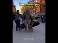 Emotional Soldiers returning home moments 😍