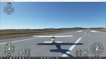 MSFS 2020 Rudder Issue