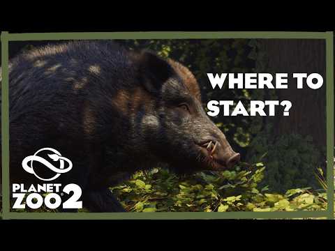 Some Ideas for Your First Zoo in Planet Zoo 2
