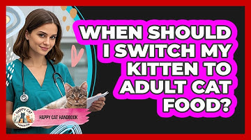 When Should I Switch My Kitten to Adult Cat Food?