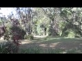 Kakamega Forest - Rondo Retreat