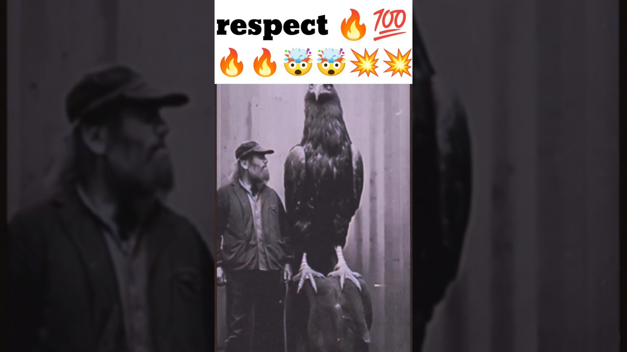 respect 💯  Mysterious Giant Bird Bigger than Humans 