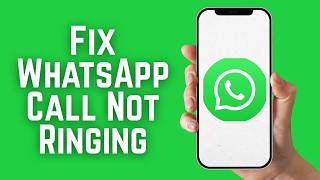 How To Fix WhatsApp Call Not Ringing On iPhone Troubleshoot WhatsApp Calls On iOS 2026