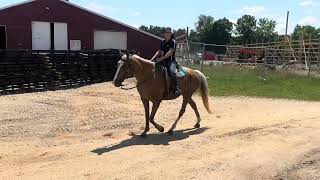 Pearl rides through construction zone