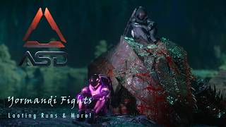 Star Citizen ~ Late Night ASD Runs w/Roguey pt 2
