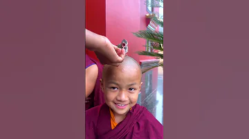 Bird Gets Fed On Little Monk S Head ViralHog 