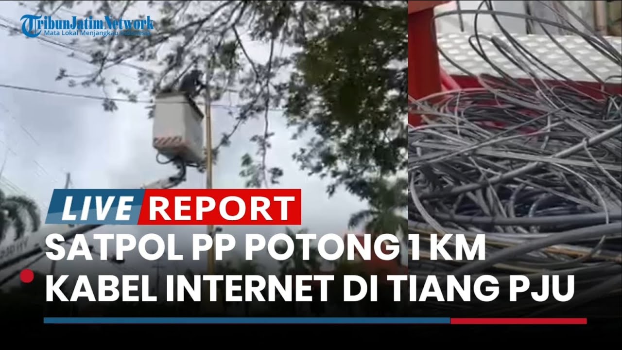 Bandel Tak Ditertibkan Mandiri, Satpol PP Tuban Potong 1 Km Kabel Internet di Tiang PJU