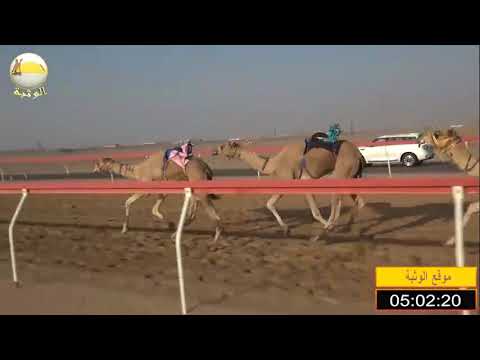 الشوط 7 بانزيون ل محمد سالم الدهيمي العامري شارة الإتحاد 2018 10 26 سيح صبرة ثنايا