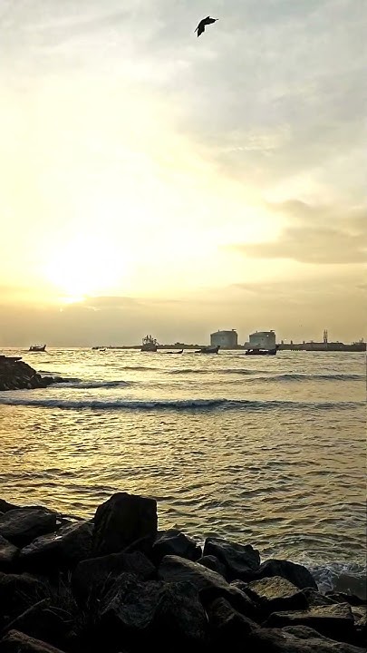 sometimes-happy-memories-hurt-the-most-fortkochi-fortkochibeach