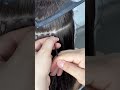 Micro Ring وصلات الرينغ Karkafi Hair Natural Hair Extensions قرقفي للشعر المستعار الشعر طبيعي Micro Ring وصلات الرينغ Karkafi Hair Natural Hair Extensions قرقفي للشعر المستعار الشعر طبيعي