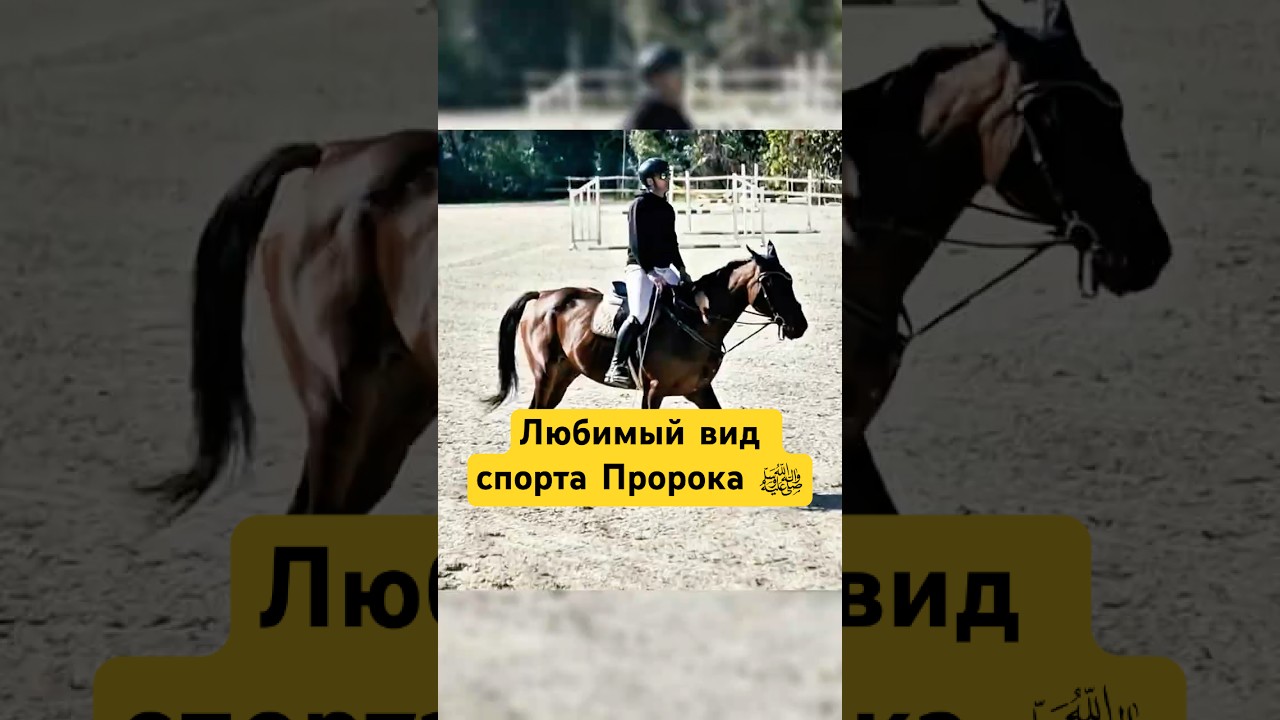 Любимые Виды Спорта Пророкаﷺ ! #shotrs