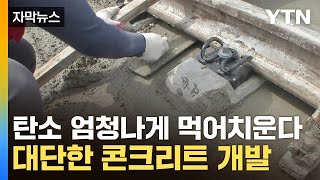 [자막뉴스] 국내 연구진의 쾌거!...탄소 빨아들이는 혁신적 기술 / YTN