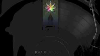 Download Lagu J'adore - Hato Branch MP3