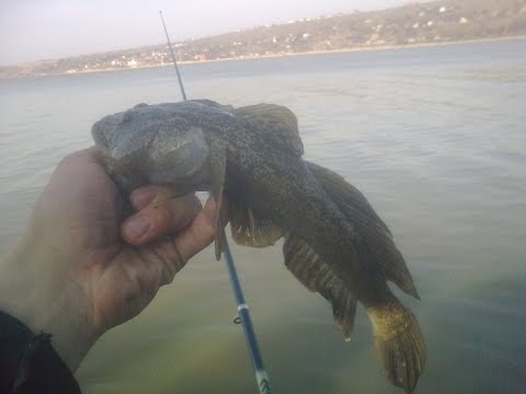 ловля раков на азовском море