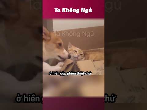 Mấy đứa này hài 😂 #takhongngu