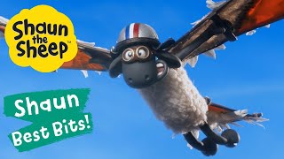 Baby Gosling 🐣 Shaun The Sheep Best Bits 💛 Season 6