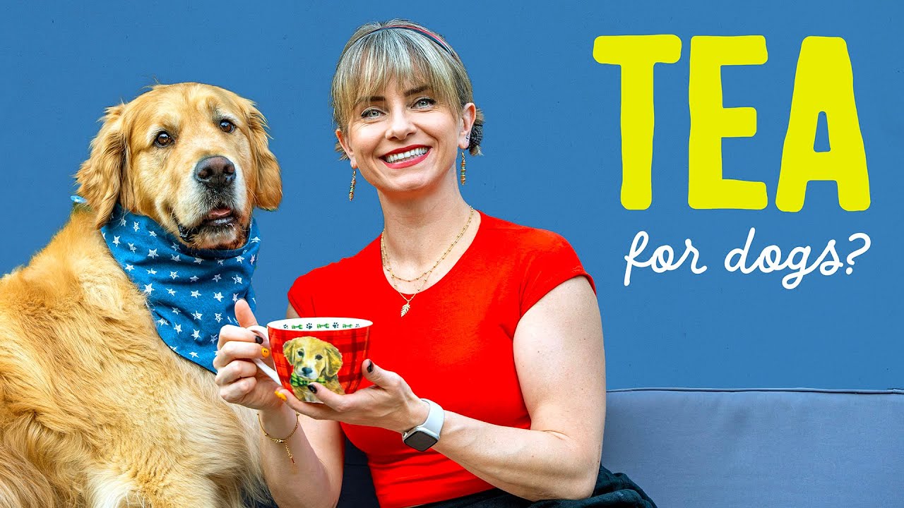 Do You Share Tea with Your Dog?