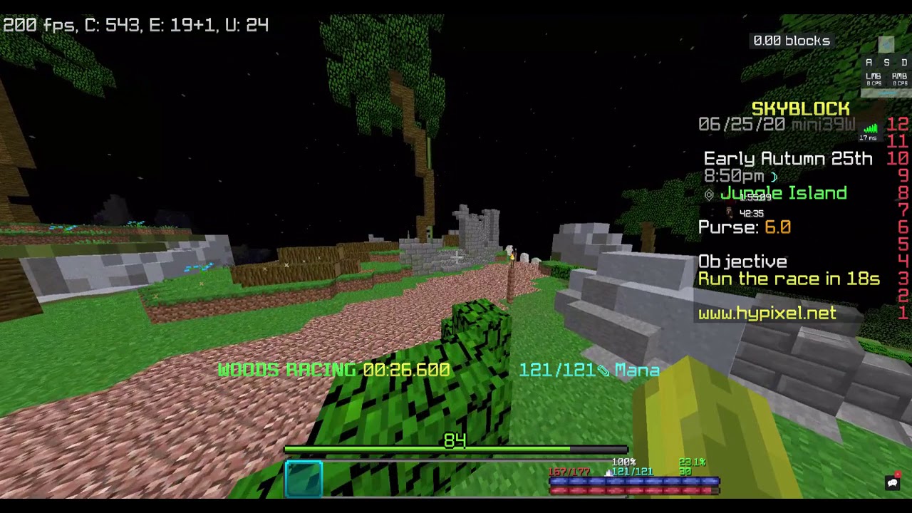 Hypixel Skyblock Woods Race 100 speed Former WR- 54.191