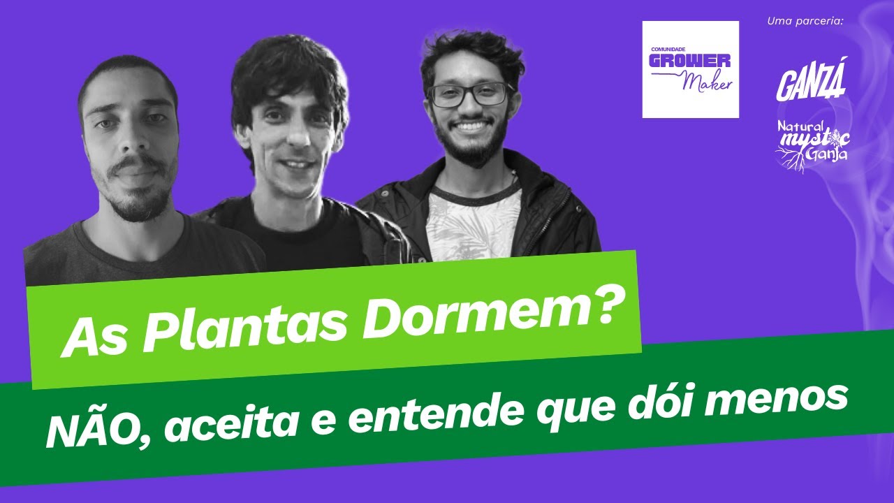 As plantas Dormem? NÃO, aceita e entende que dói menos - YouTube