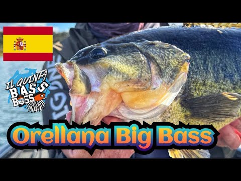 IN SPAIN WITH QUINTA - BASS FISHING IN ORELLANA