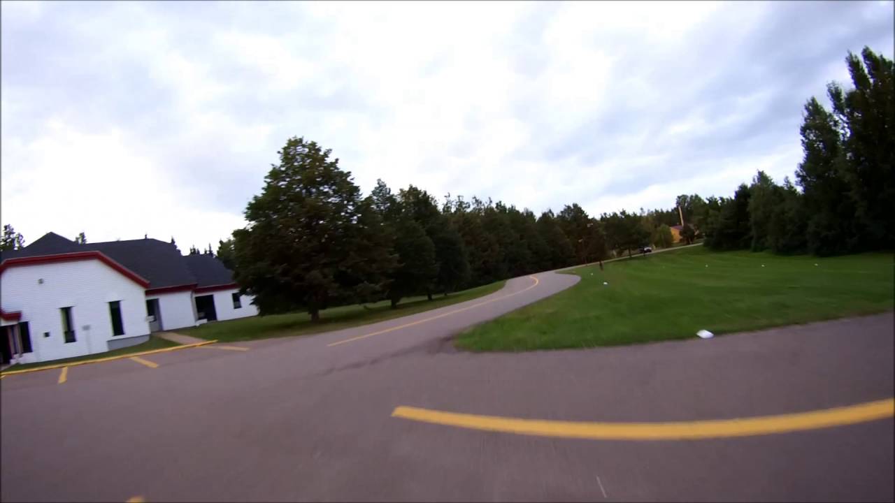 Backyard FPV race track