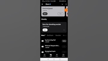 How to Spot a Rug Pull in Crypto: Key Red Flags | Blum Academy || Blum Video Code #Blum #blumcode